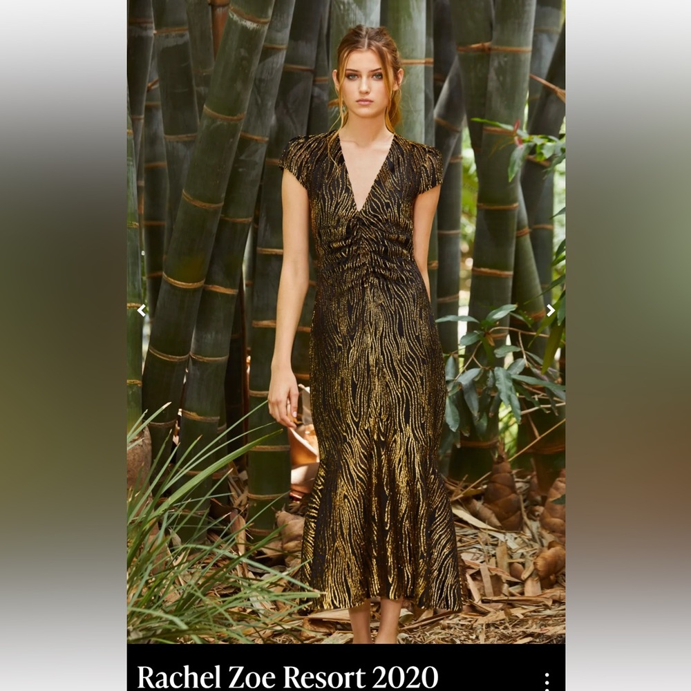 Rachel Zoe Gold and Black Maxi Dress